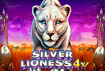 Silver Lioness 4x